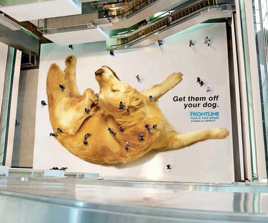 “许多方面中国已走在前列”迪士尼亚太区流媒体业务高级副总裁TonyZameczkowski盛赞内容创新力：中国是最重要也最具活力的市场之一(图1)