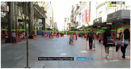 戴盟机器人发布Daimon-Infinity数据集推动AI发展(图1)